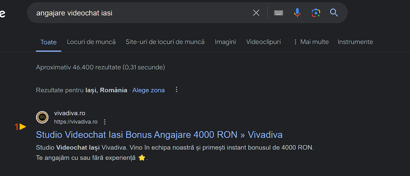 Studiu de caz Vivadiva Cautare Google